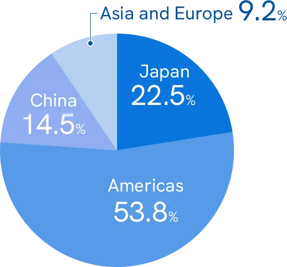 Pie chart of sales ratio by geographic segment of Tay Estec