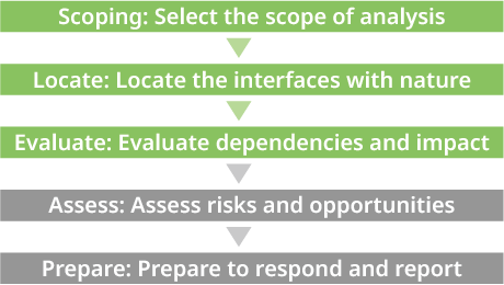 Diagram of the LEAP approach recommended by the TNFD